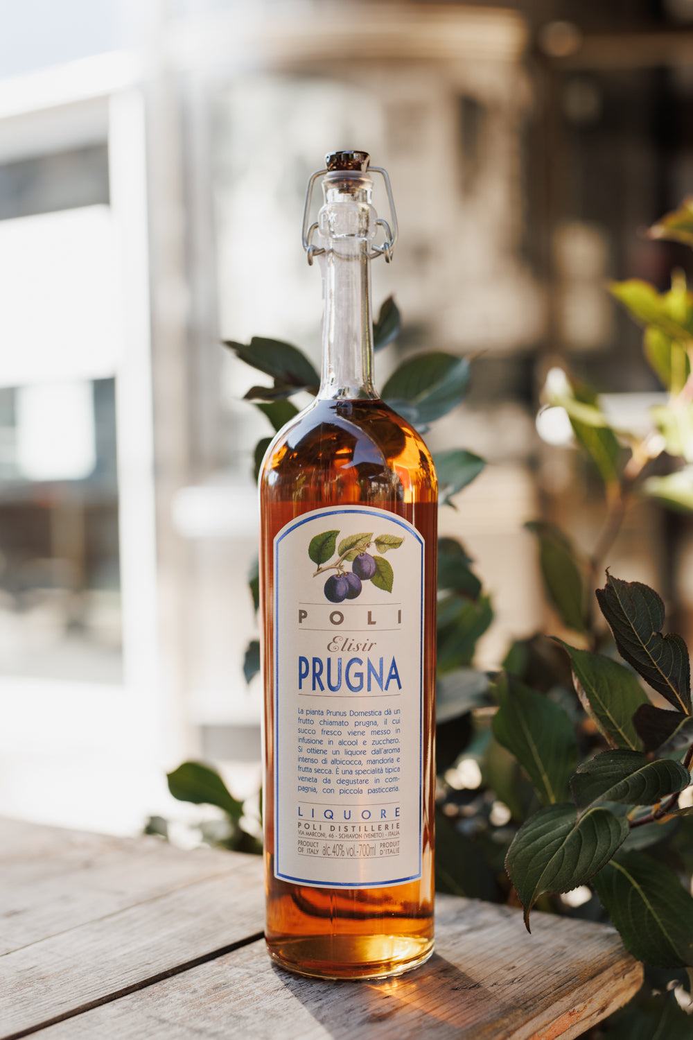 Prugna