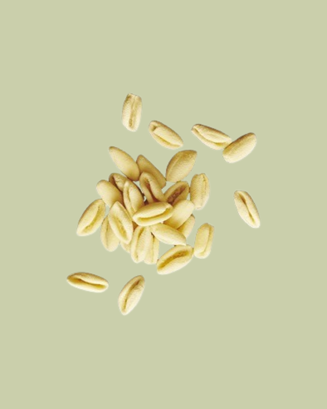Cavatelli