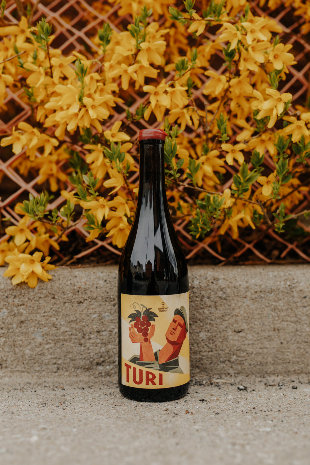 Turi Rosso