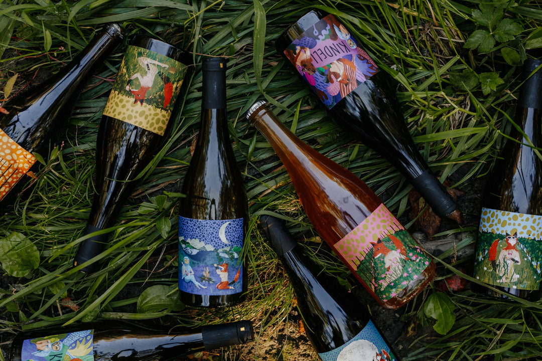 New Vintages From Kindeli!