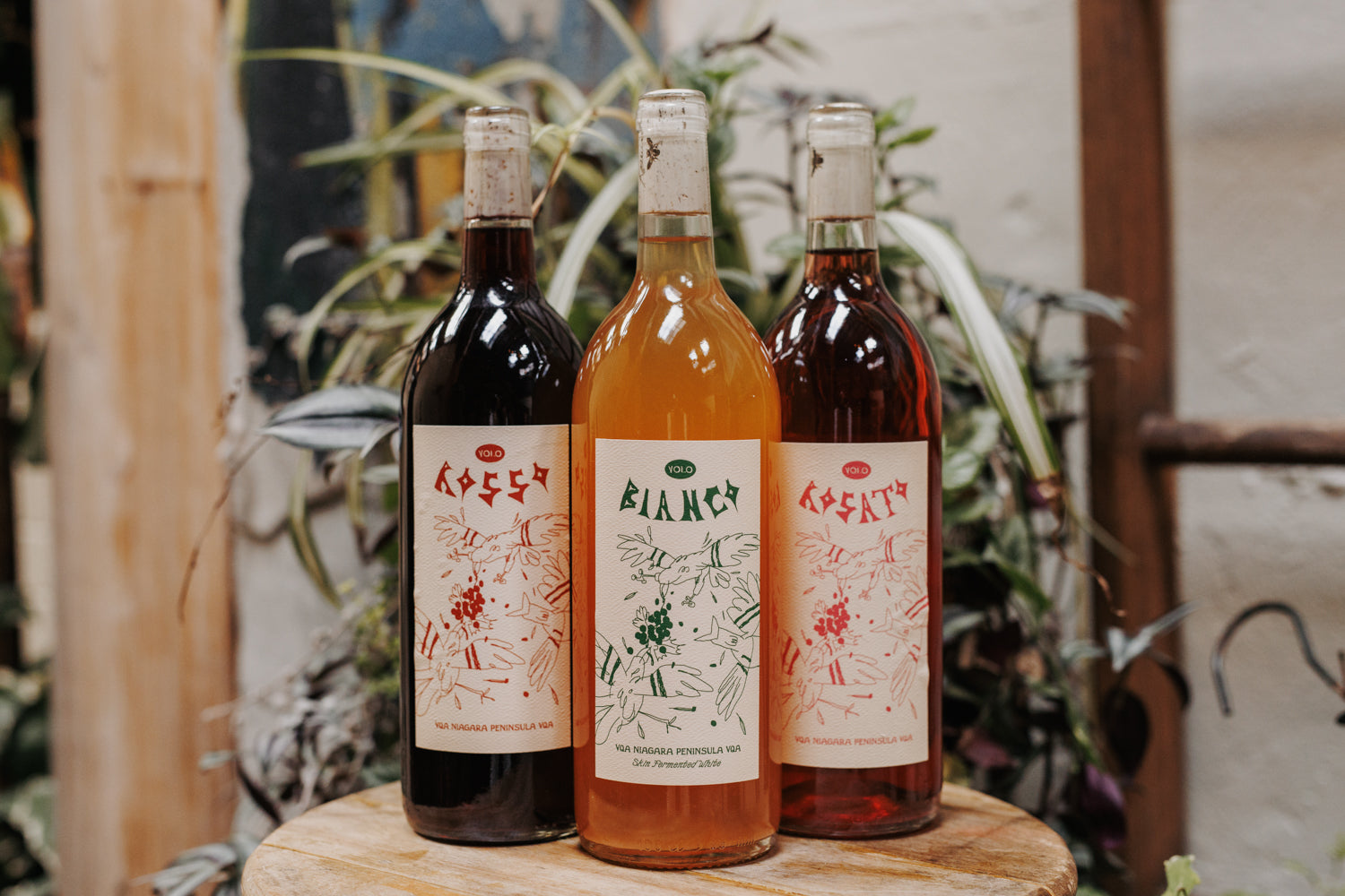 Canadian Wines