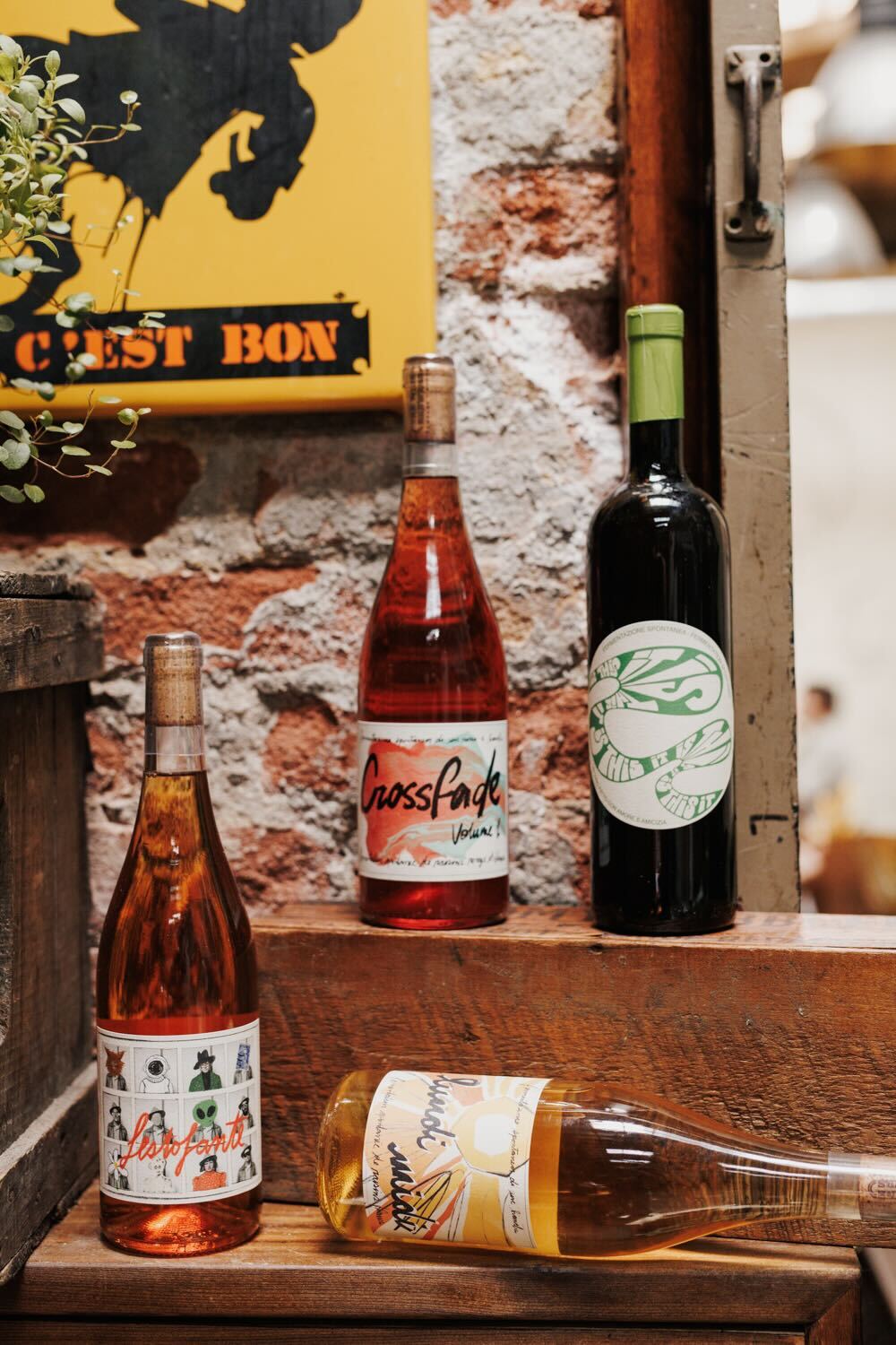The Wine Brewers