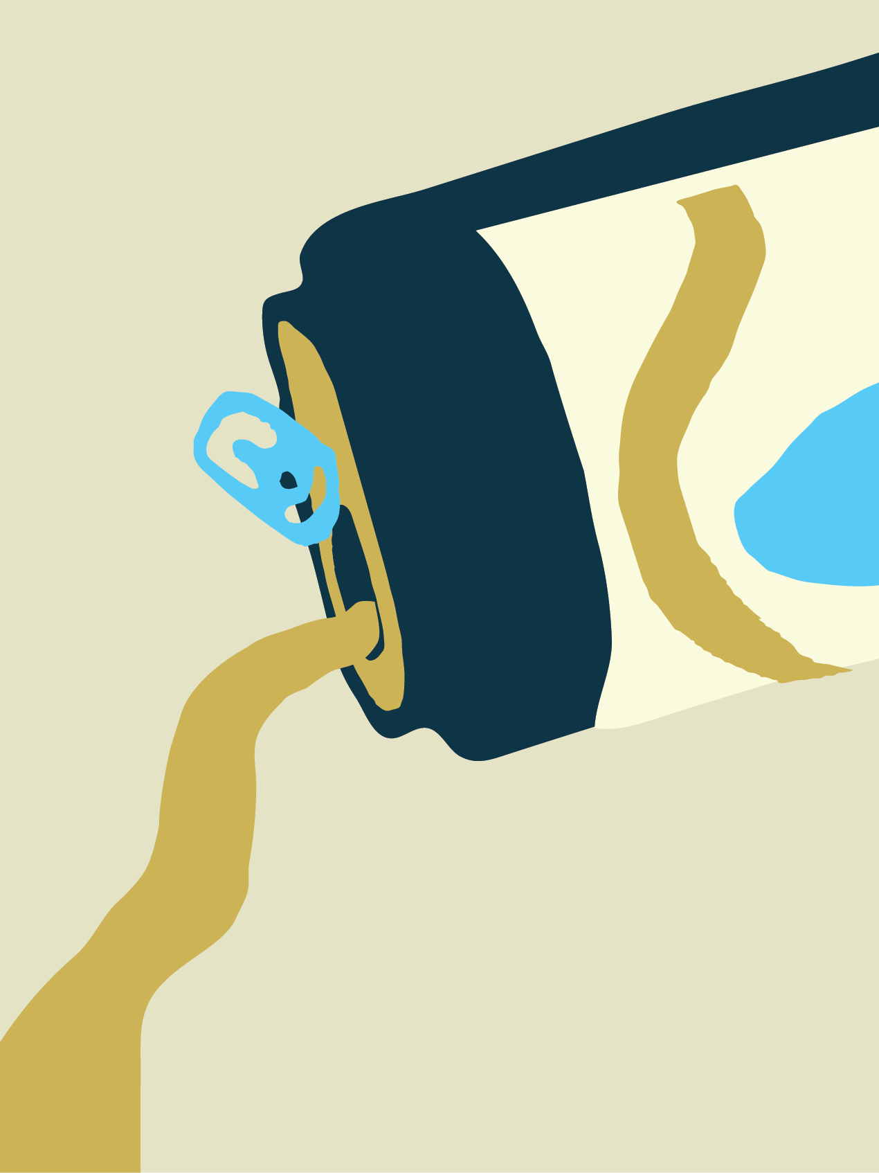 Collection custom icon