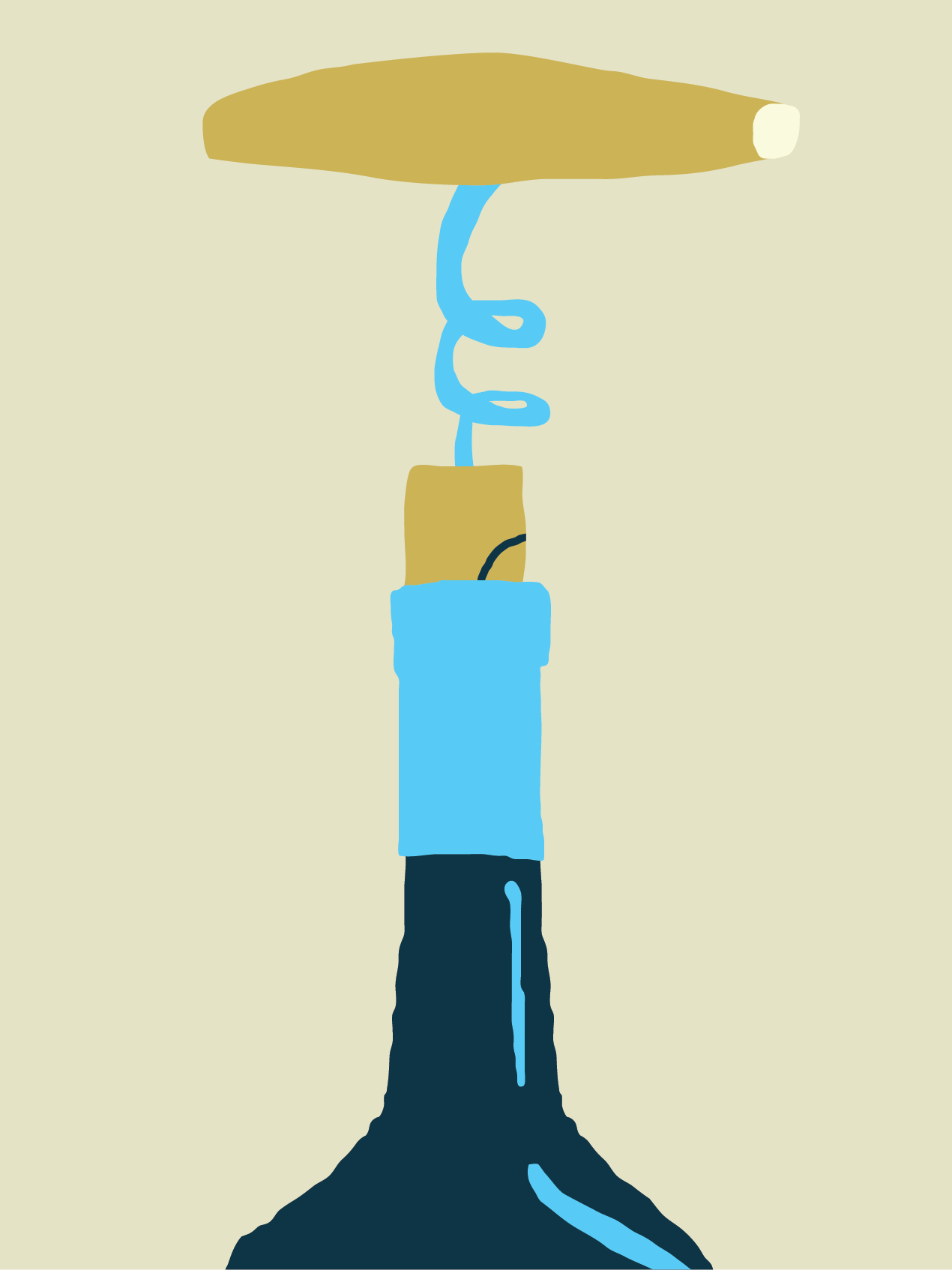 Collection custom icon