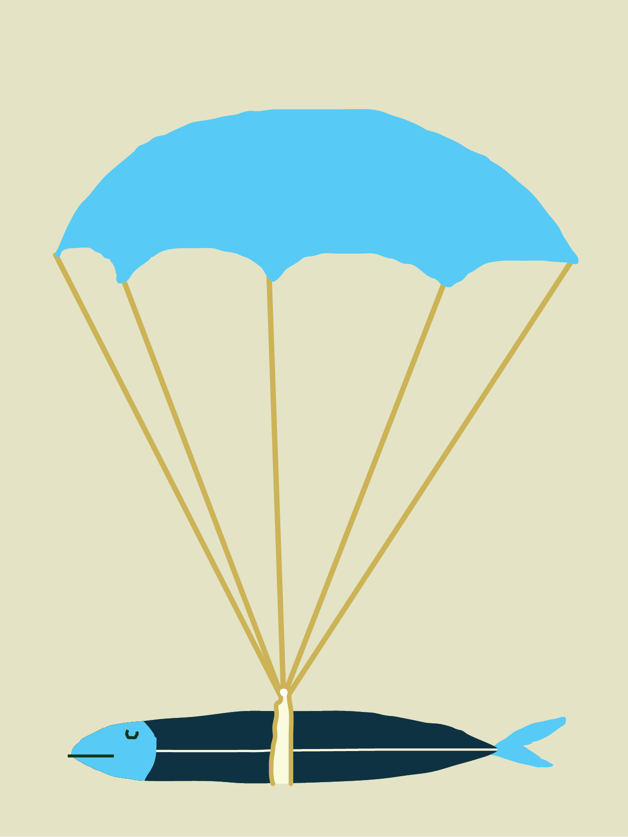 Collection custom icon