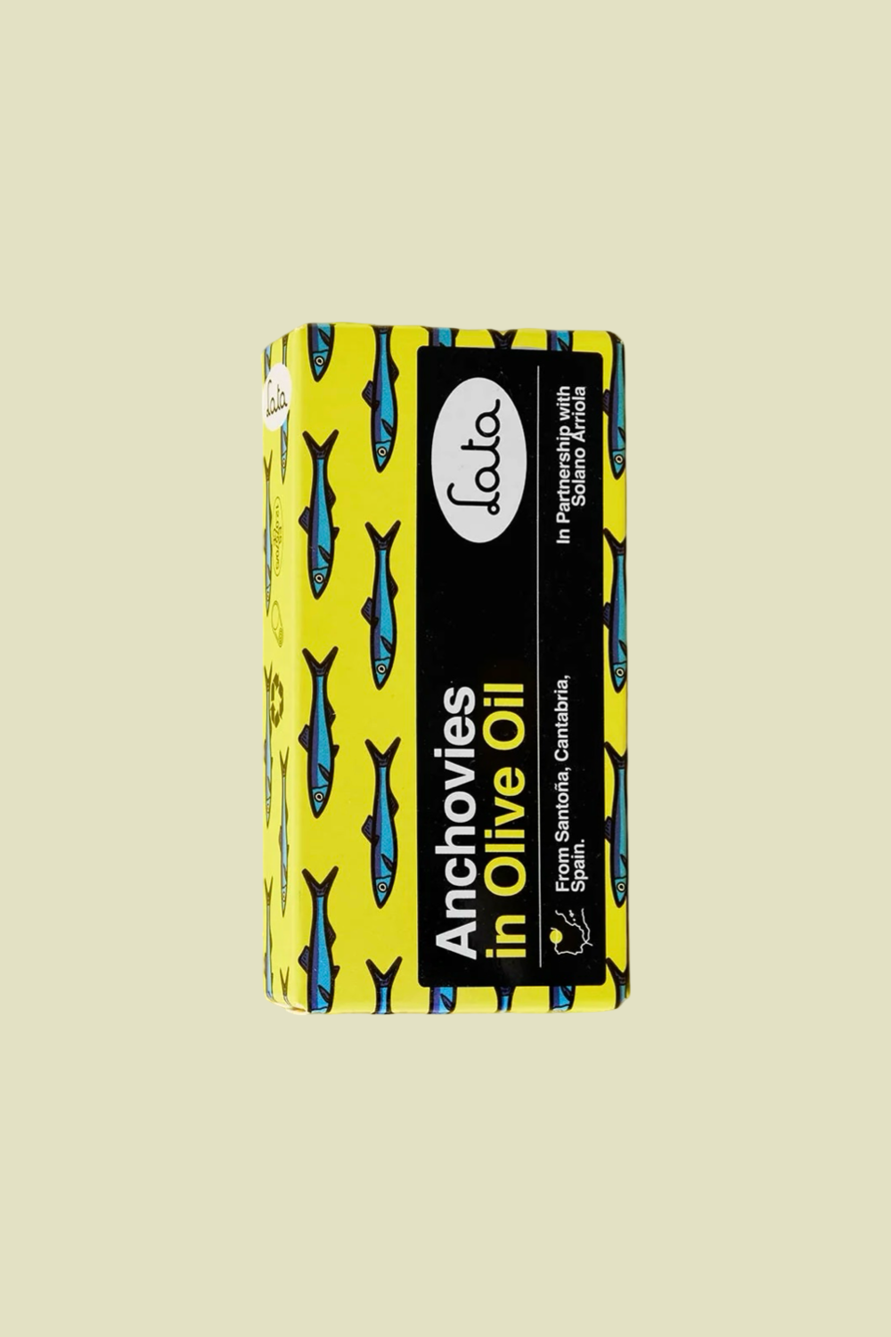 Anchovies in Olive Oil