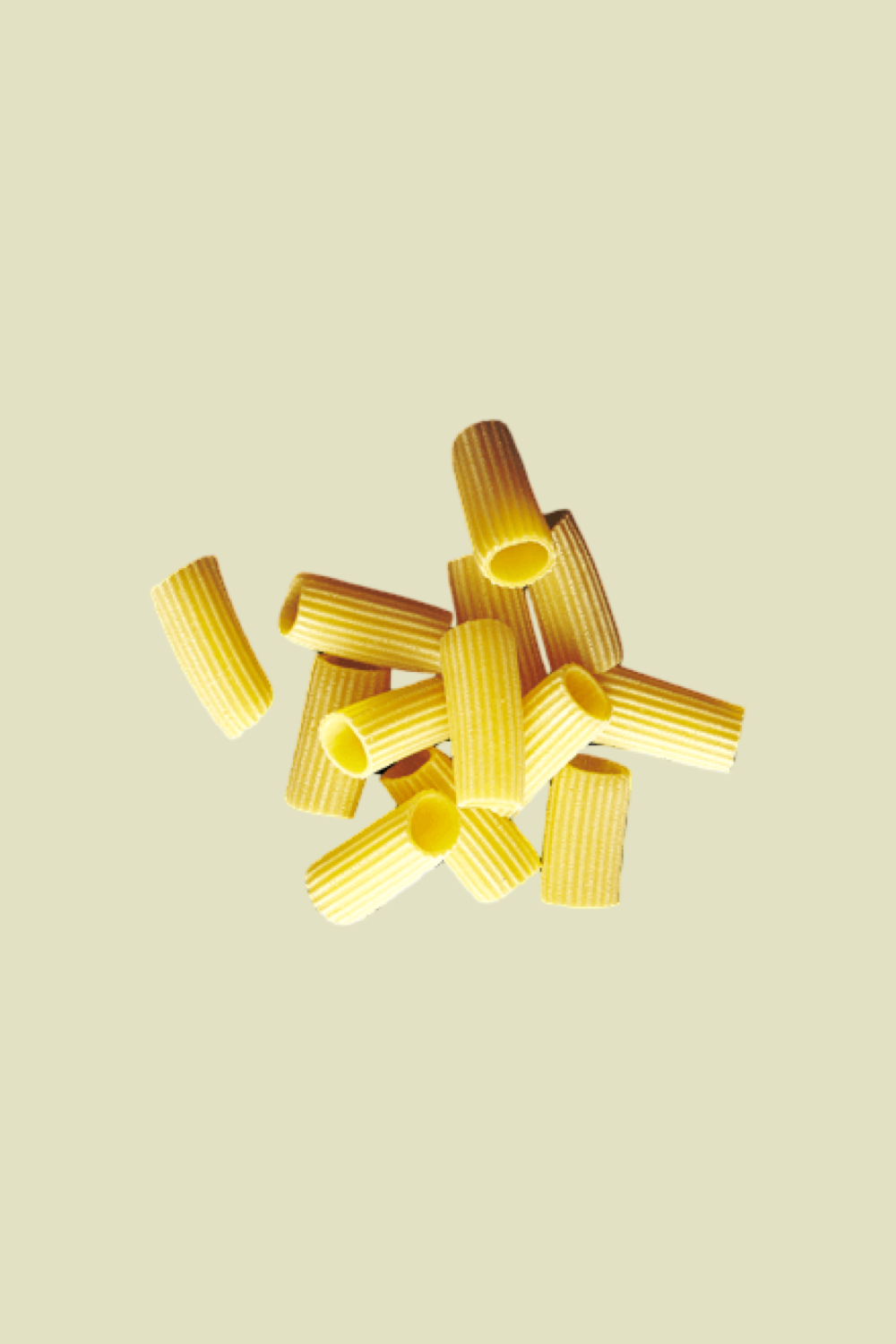 Rigatoni Fresh Pasta