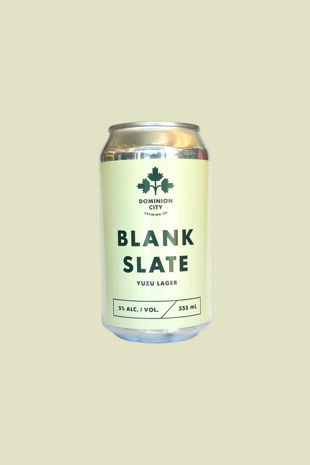 Blank Slate
