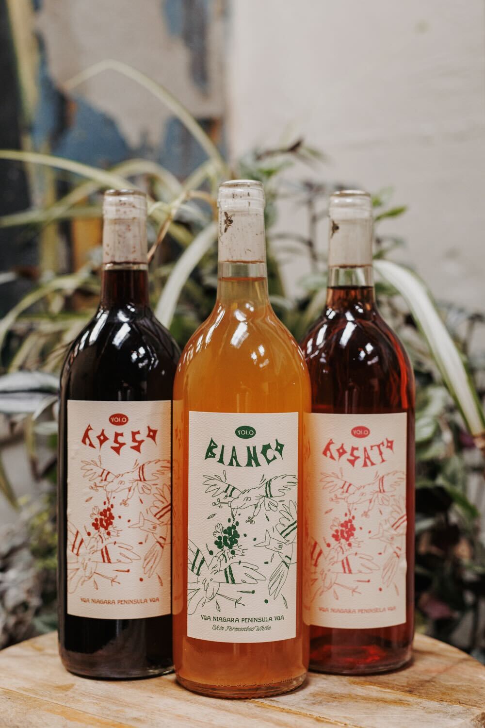 Volo Rosato