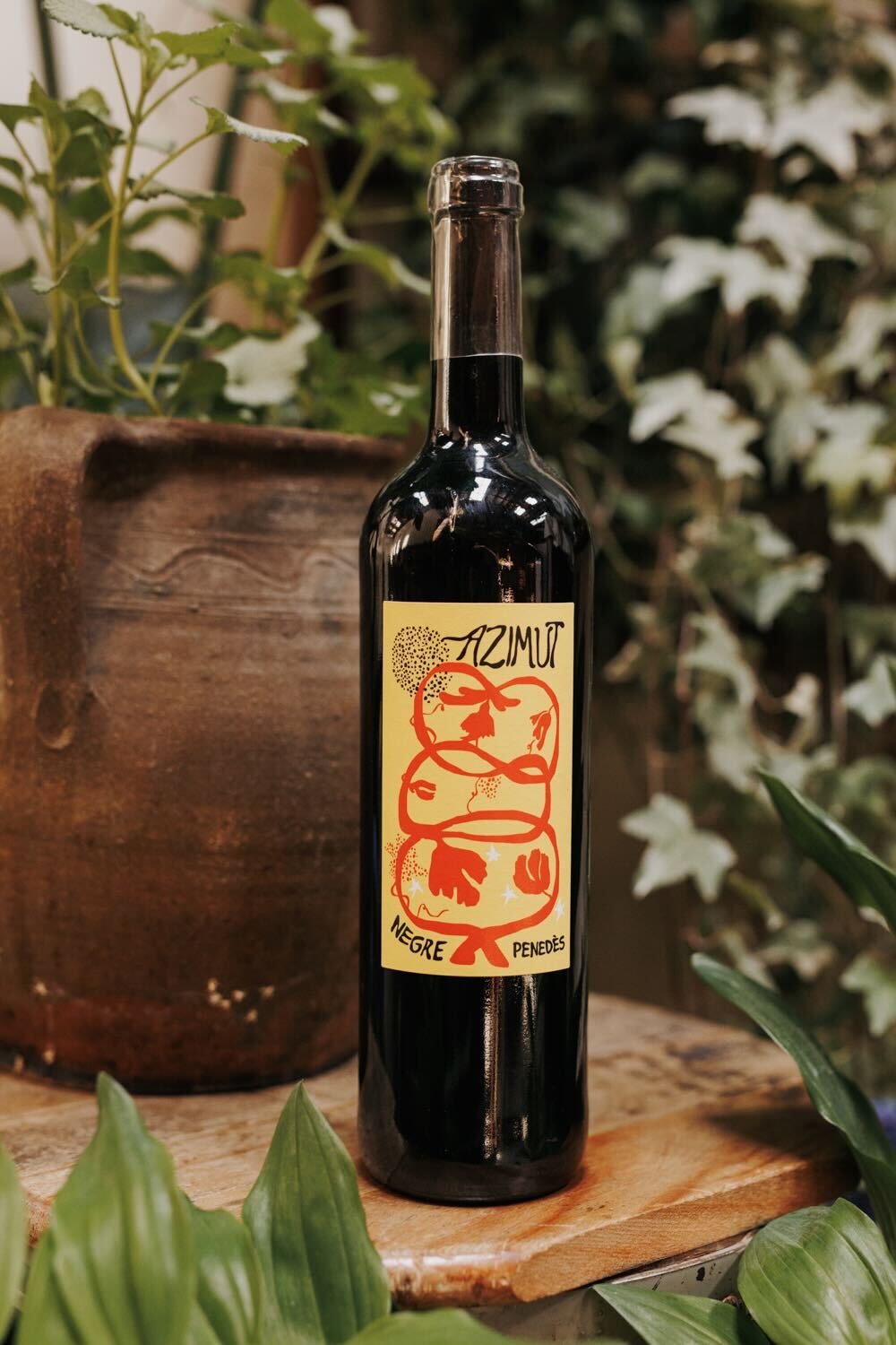 Bottle of Azimut wine on a wooden surface with plants in the background