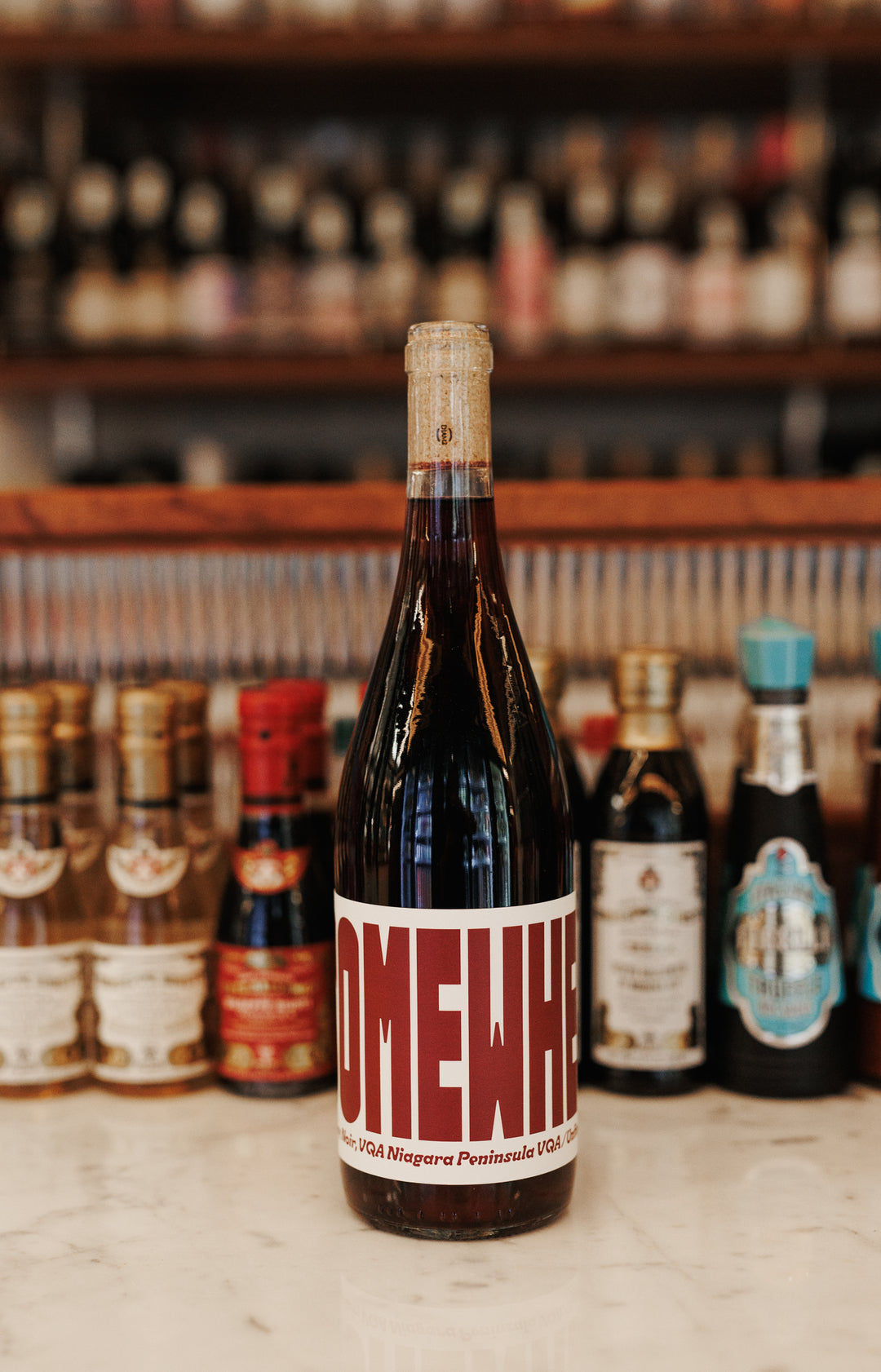 Gamay Noir