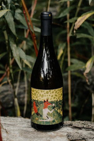 Otono '21