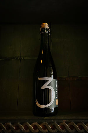 Golden Blend '19/'20
