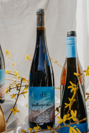 Spätburgunder '20