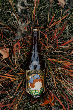 Blueberry Grisette